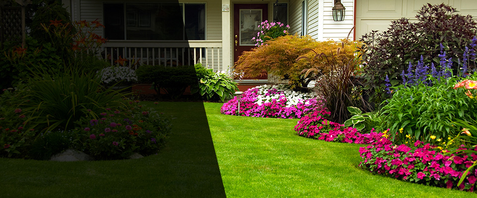 Mc Coll Landscapers
