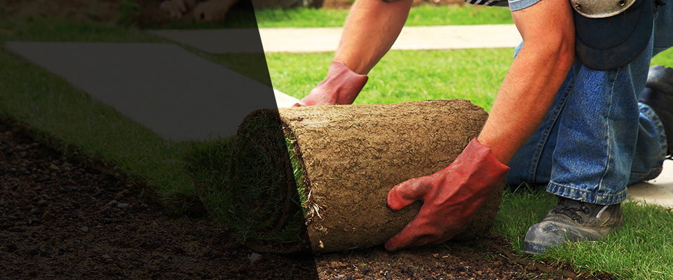 Mc Coll Landscapers